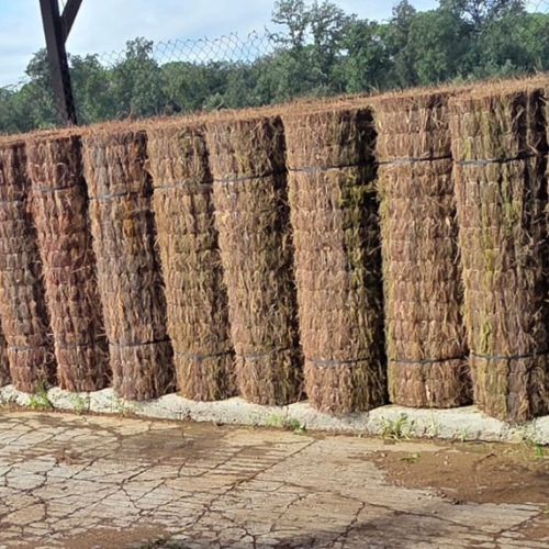 2. Producció i preparació